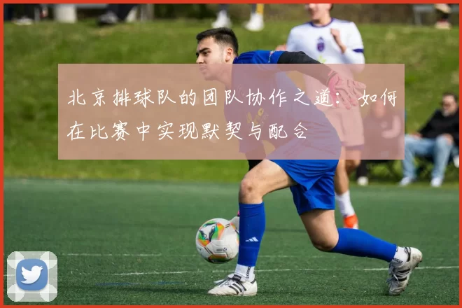 北京排球队的团队协作之道：如何在比赛中实现默契与配合