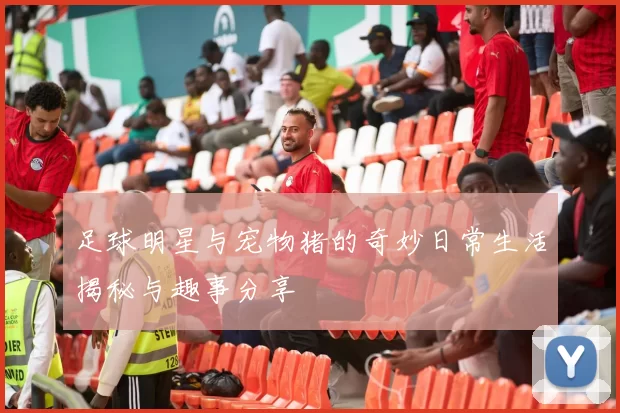 足球明星与宠物猪的奇妙日常生活揭秘与趣事分享