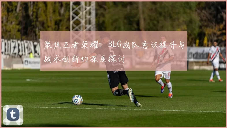 聚焦王者荣耀：BLG战队意识提升与战术创新的深度探讨