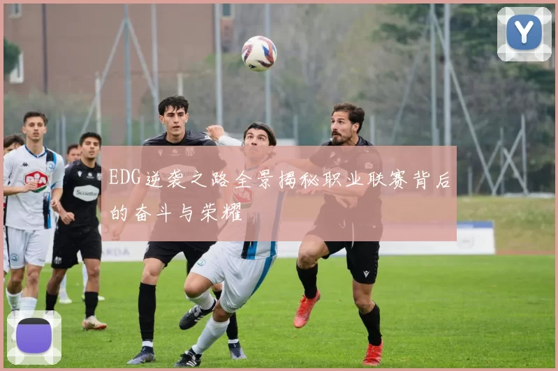 EDG逆袭之路全景揭秘职业联赛背后的奋斗与荣耀