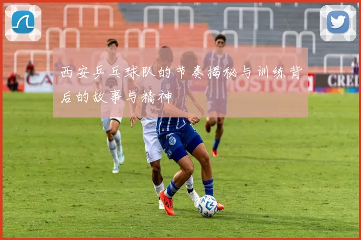 西安乒乓球队的节奏揭秘与训练背后的故事与精神