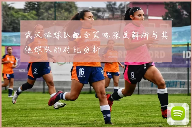 武汉排球队配合策略深度解析与其他球队的对比分析
