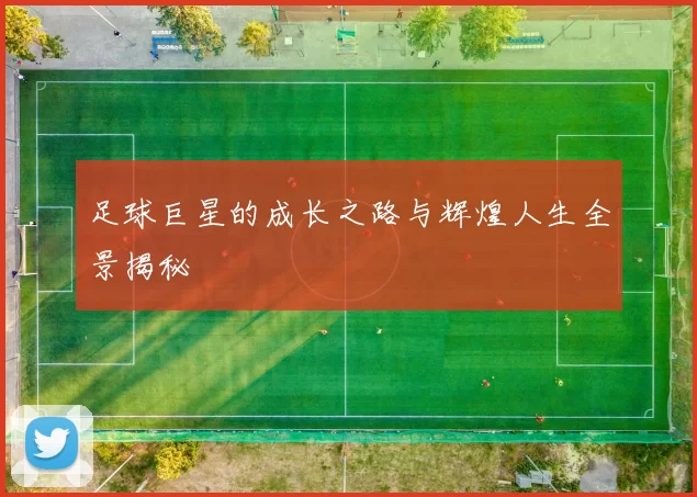足球巨星的成长之路与辉煌人生全景揭秘