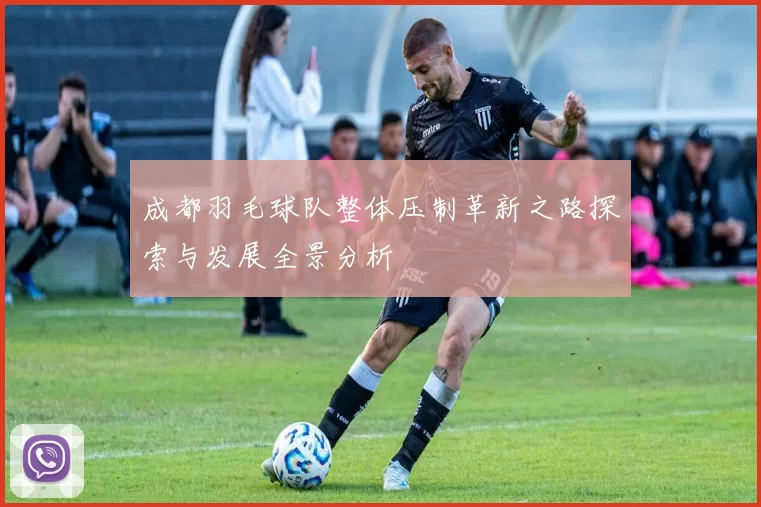 成都羽毛球队整体压制革新之路探索与发展全景分析