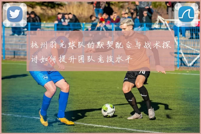 杭州羽毛球队的默契配合与战术探讨如何提升团队竞技水平
